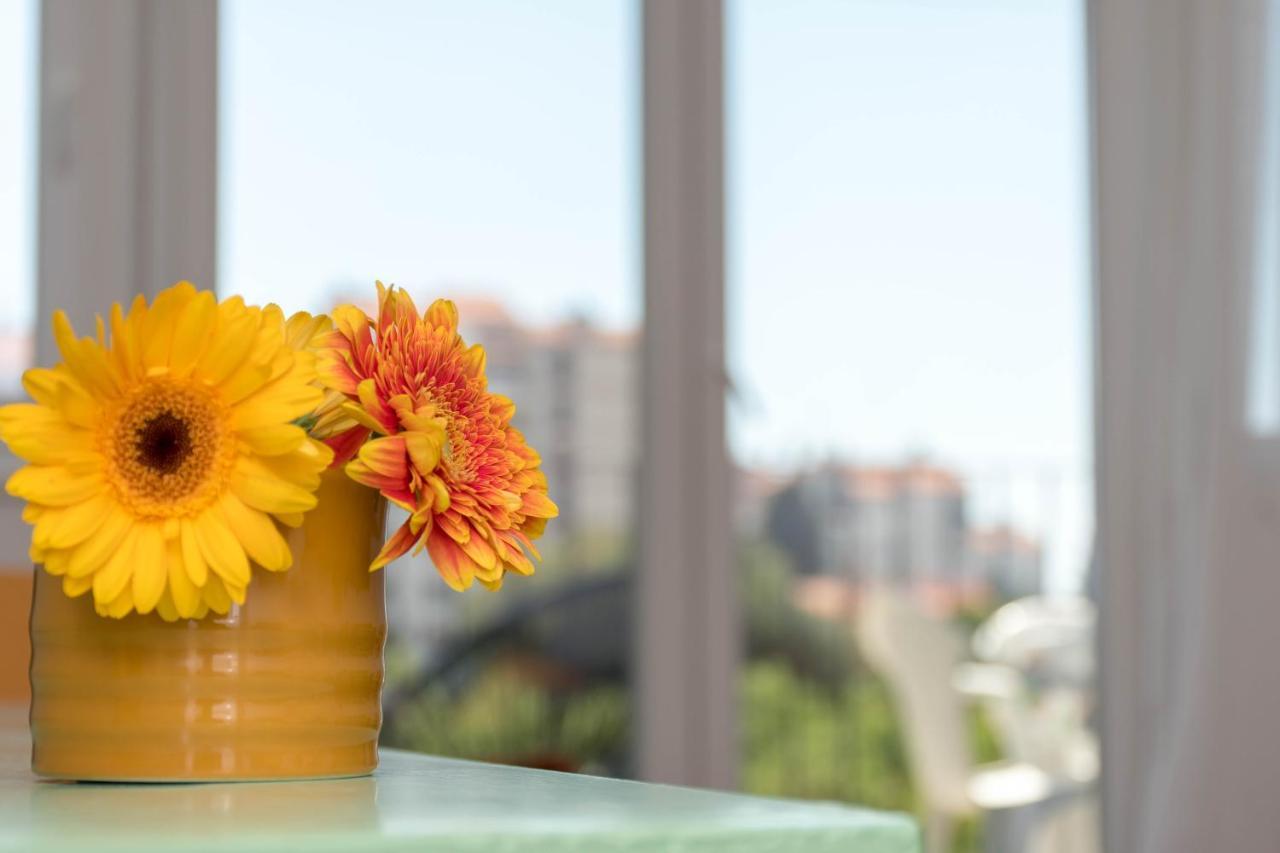 Nona Mileva Apartment Pula Exteriér fotografie